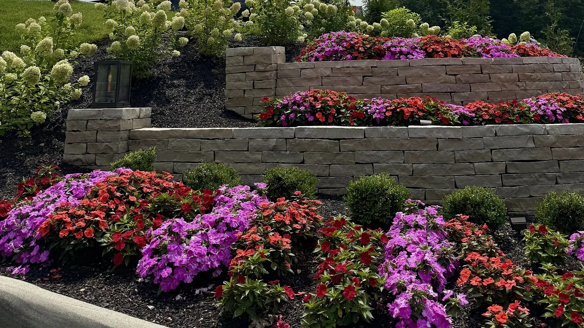 Three-tier natural stone retaining wall with banks of red, pink and purple impatiens, clipped boxwood and white hydrangeas