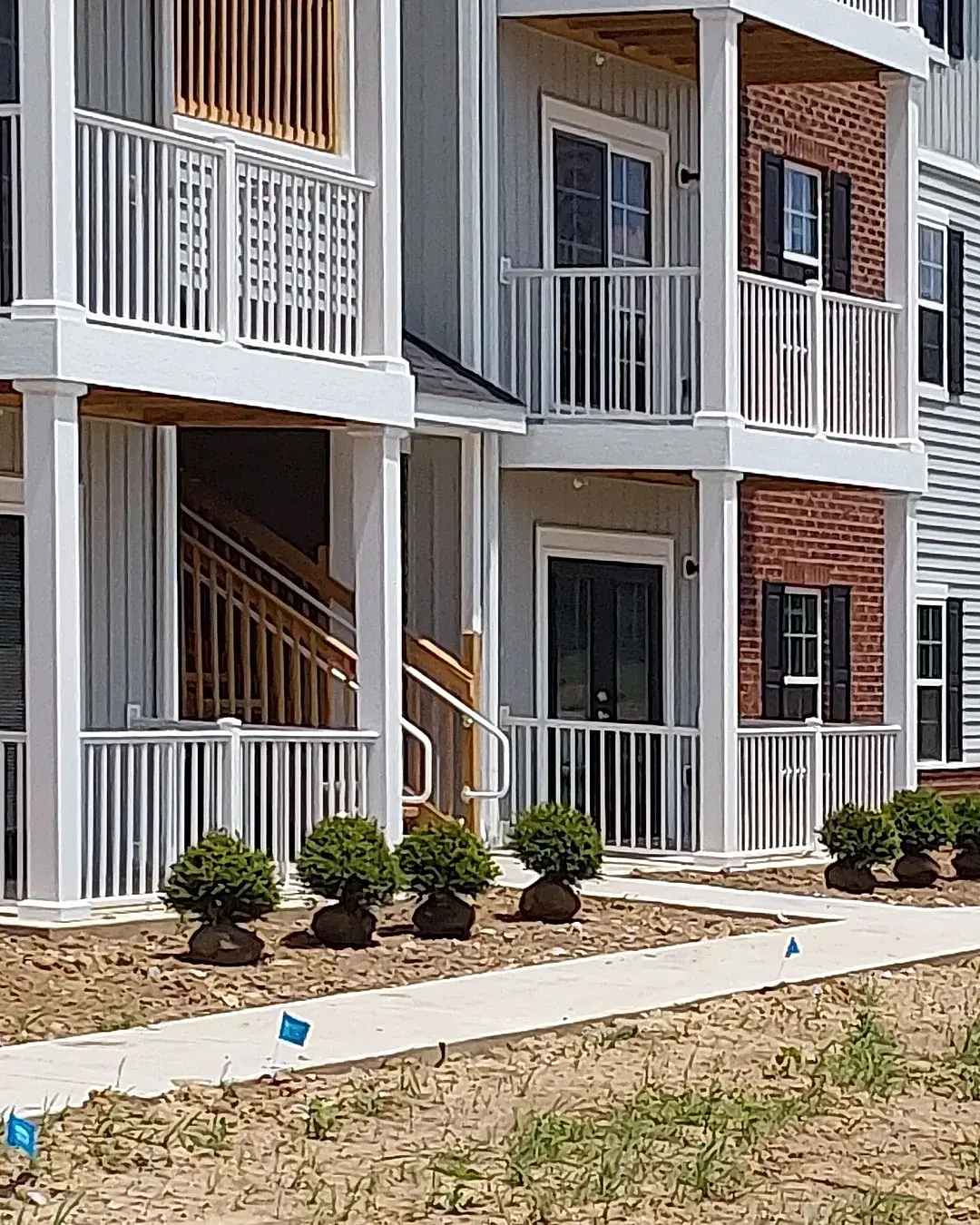 Newly planted boxwood foundation shrubs along the entry of a new apartment building with a skid steer on site