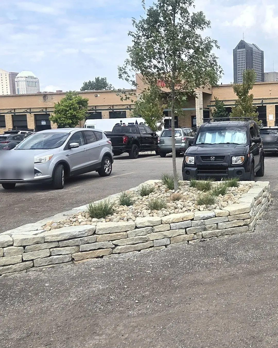 New stone-edged landscape island with river rock, ornamental grasses and a young tree in a commercial parking lot