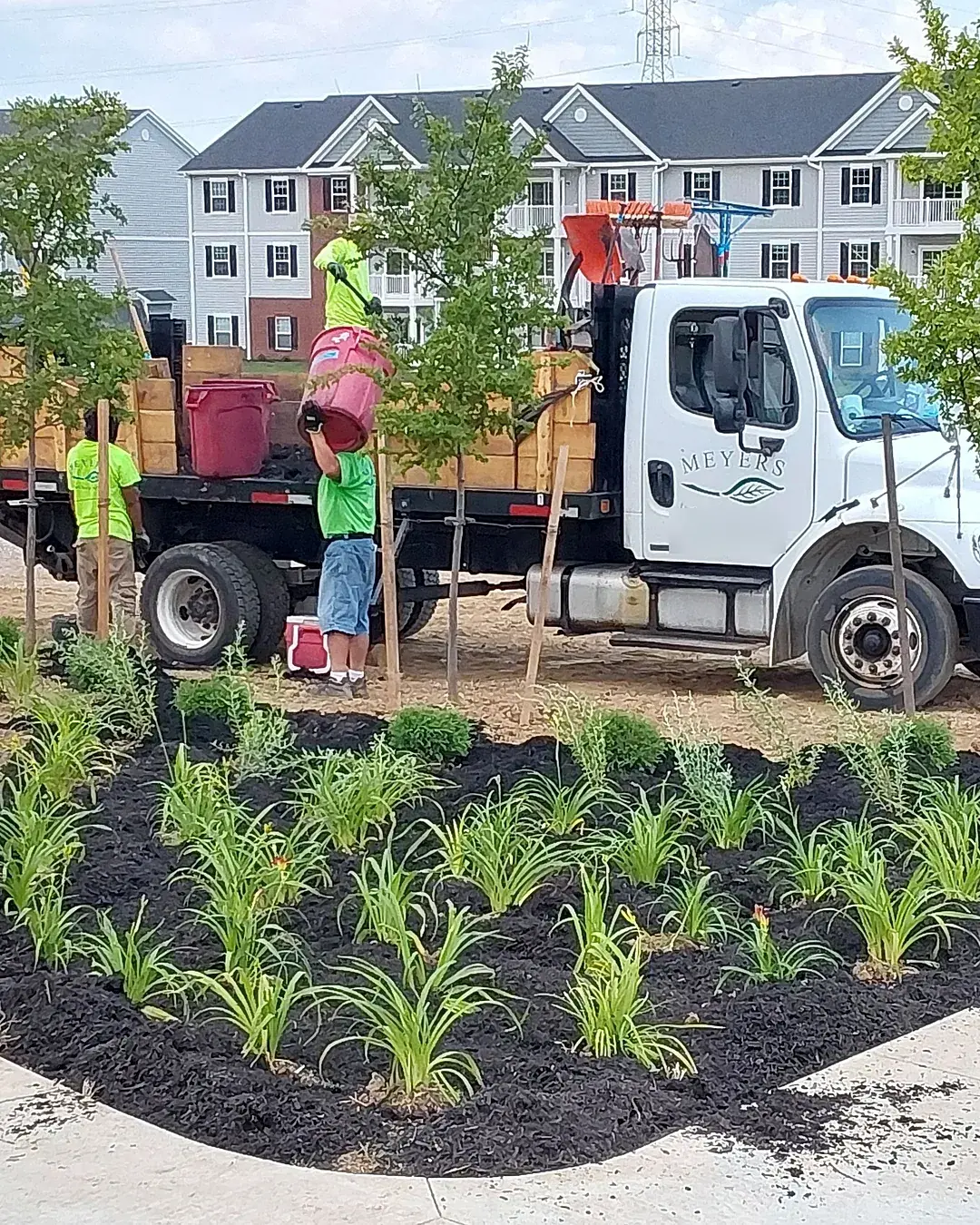 Meyers truck and three crew members unloading plants beside a new daylily bed in fresh mulch at an apartment community under construction