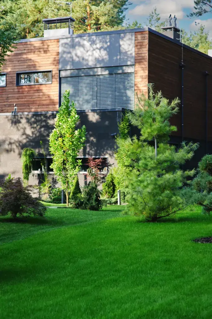 Modern wood-and-stone home with manicured lawn and young evergreen plantings
