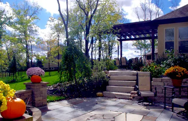 Paver patio with stone steps, seat wall, and fall mums beneath a pergola