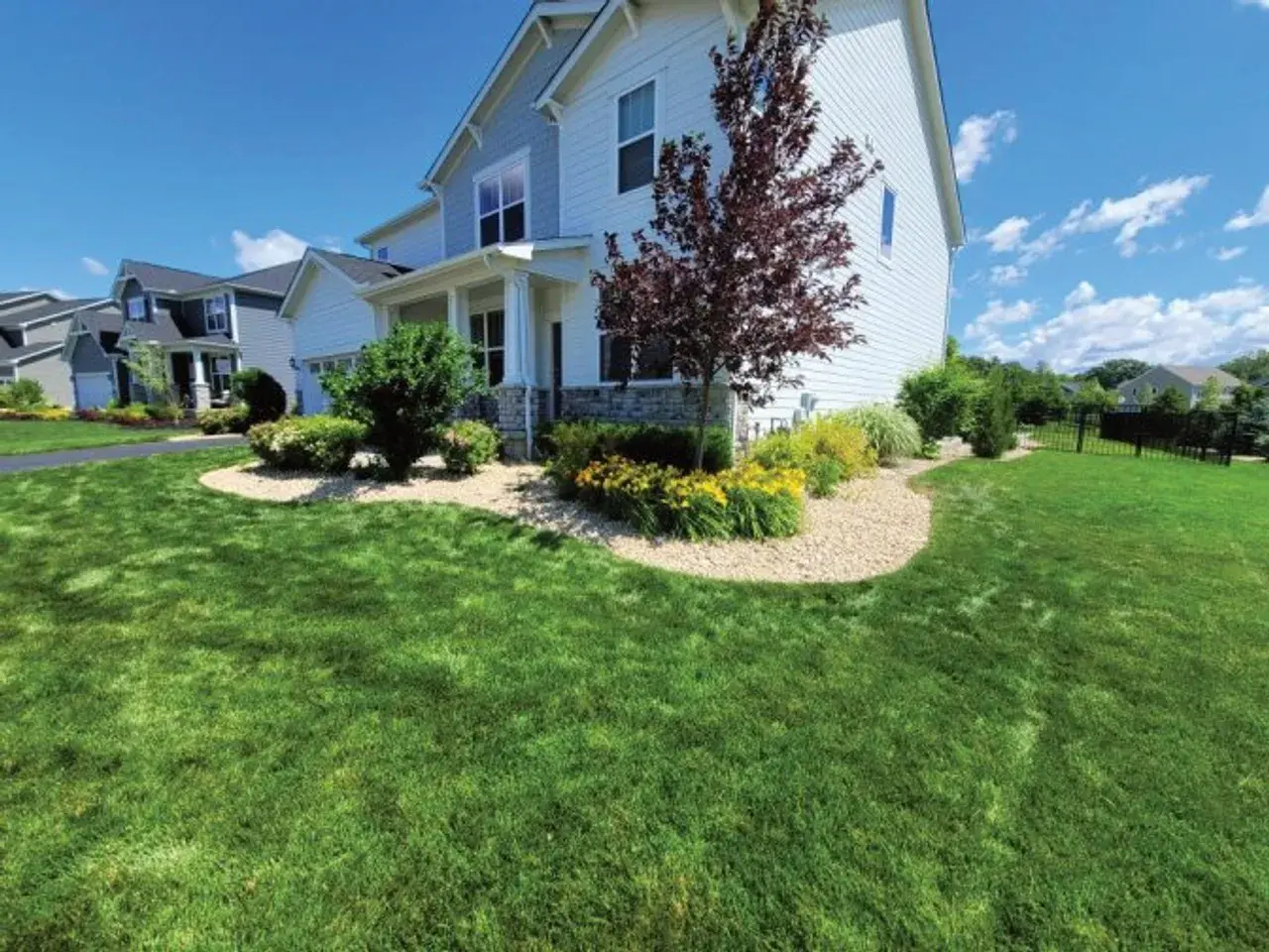 Freshly renovated front yard with lush green lawn, stone-mulched beds, and blooming daylilies