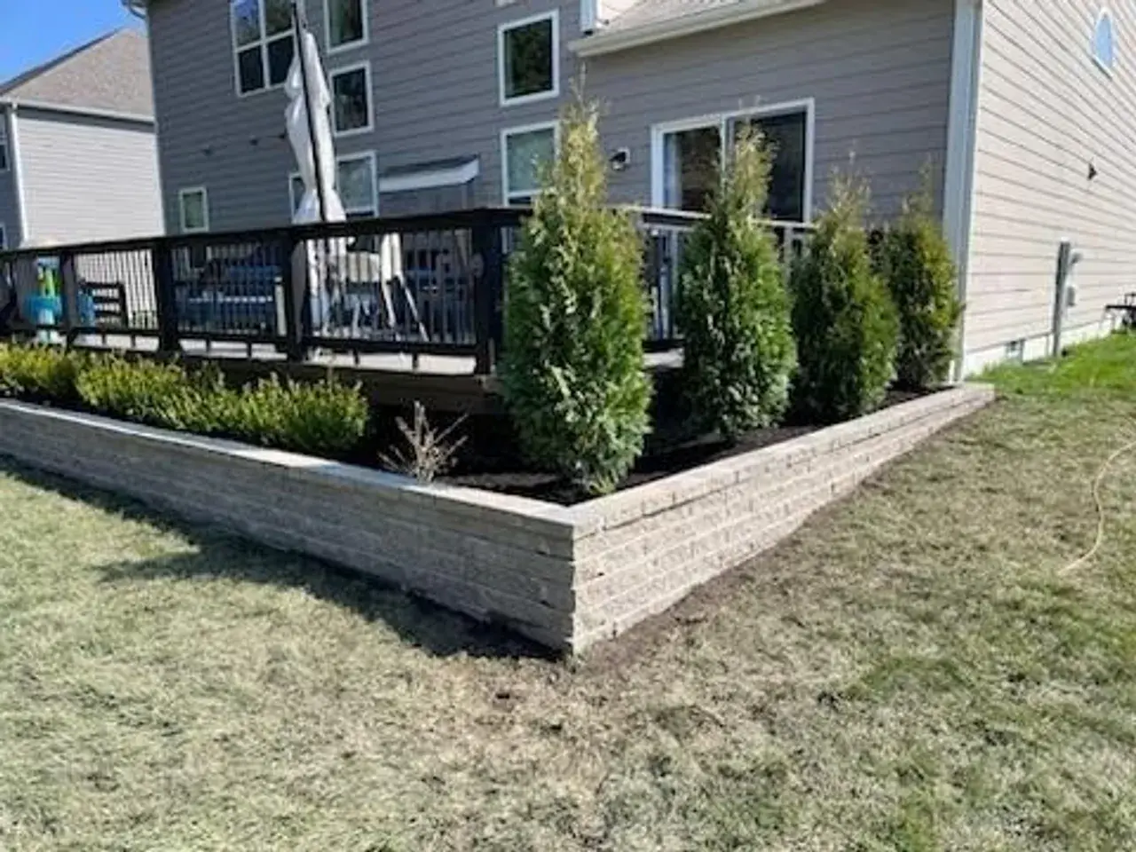 Raised bed of arborvitae and boxwood in fresh mulch running along a backyard deck