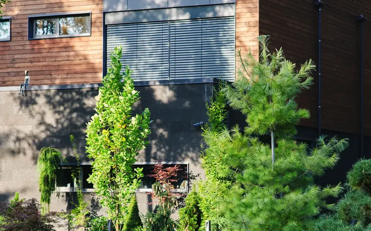 Leaf Removal services in Central Ohio