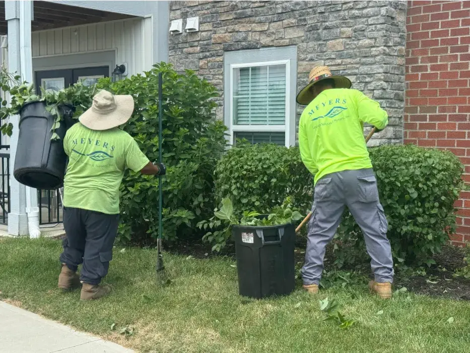 Why Fall Clean-Up Is Essential for a Healthy Lawn Next Spring
