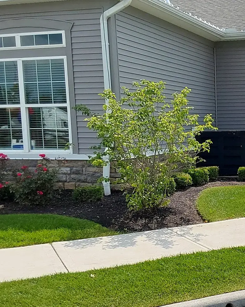 Apartment community clubhouse with mulched foundation beds, flowering shrubs, a curving walkway and a neatly edged lawn