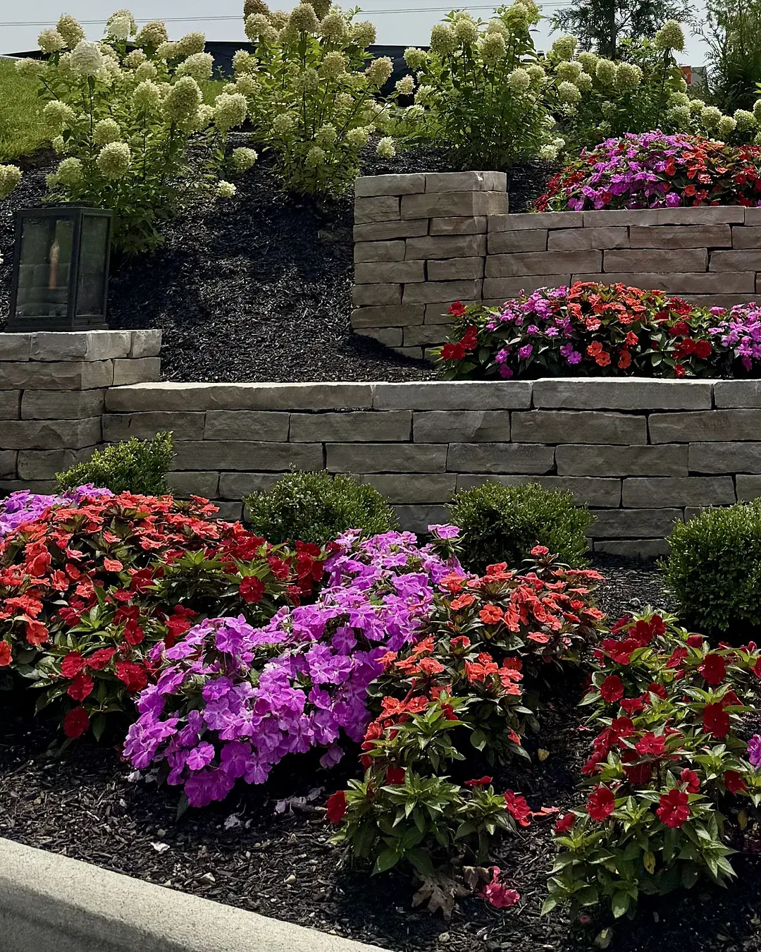 Three-tier natural stone retaining wall with banks of red, pink and purple impatiens, clipped boxwood and white hydrangeas