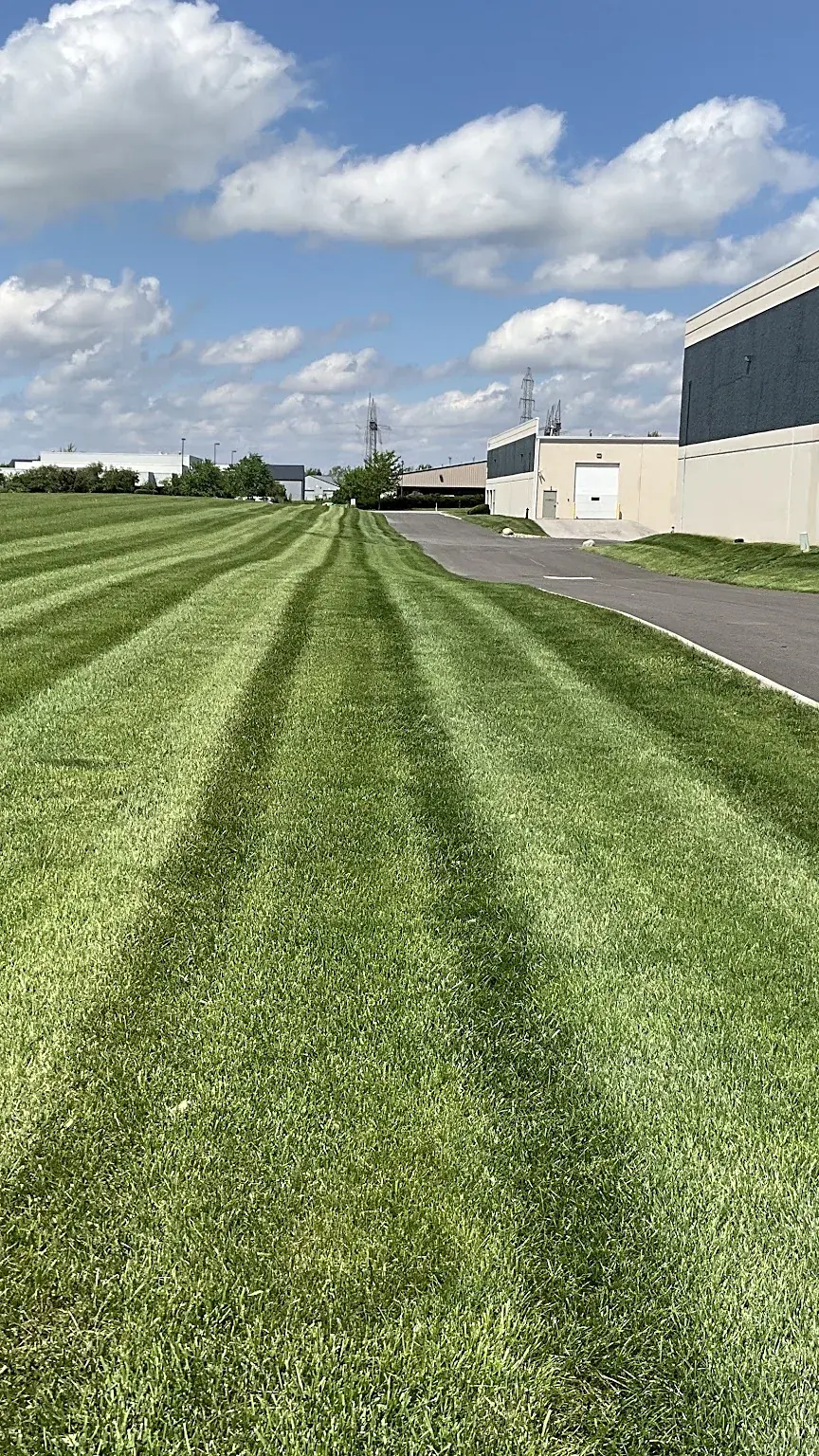 Crisp mowing stripes across a large lawn beside an industrial building at a commercial campus