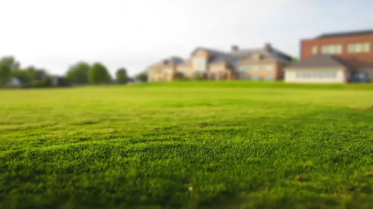 Turf Disease Protection