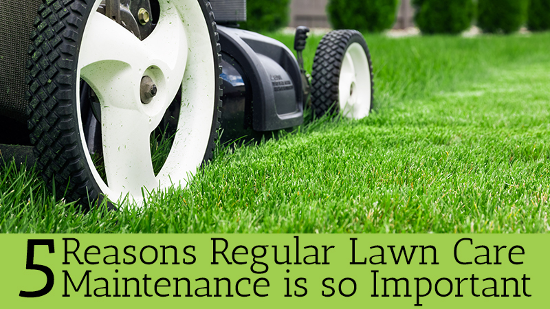 Yard and Lawn Services OKC