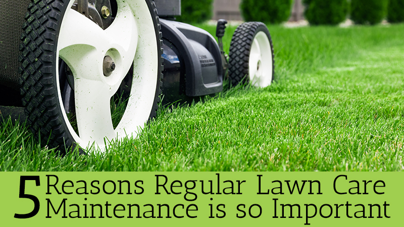 Commercial Lawn Mowing Banjup