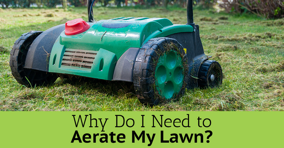 Lawn Aeration Central Ohio Lewis Center Columbus